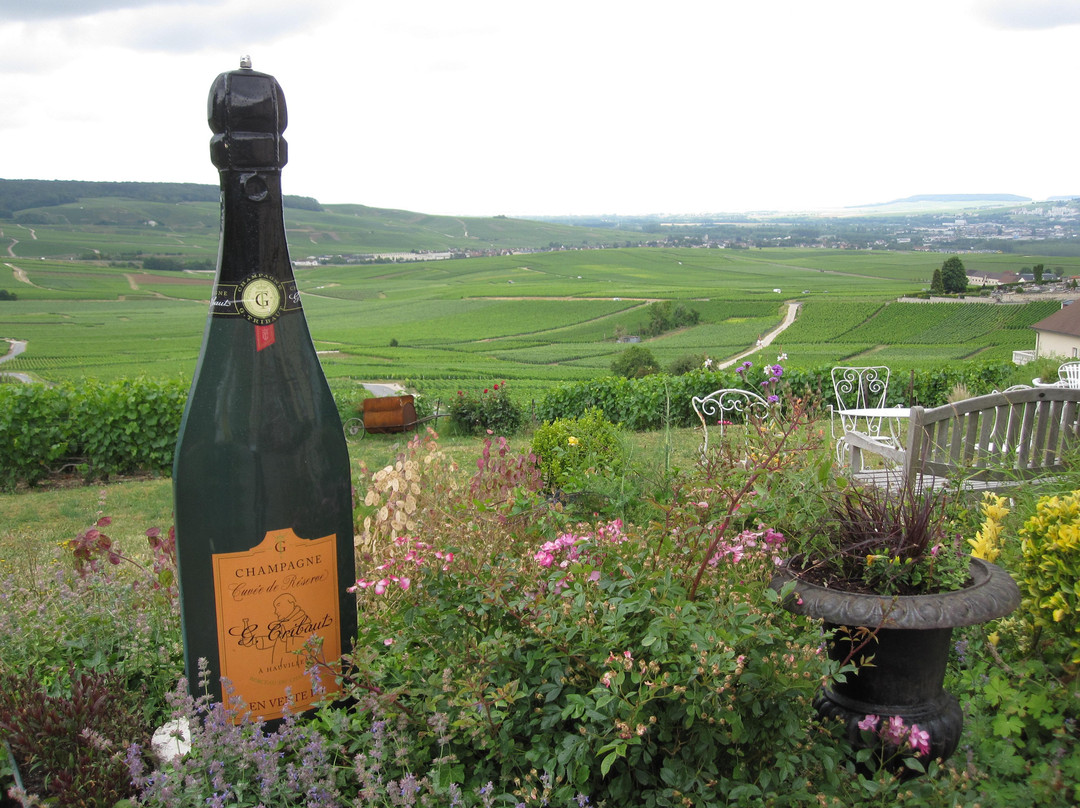 Champagne G. Tribaut景点图片