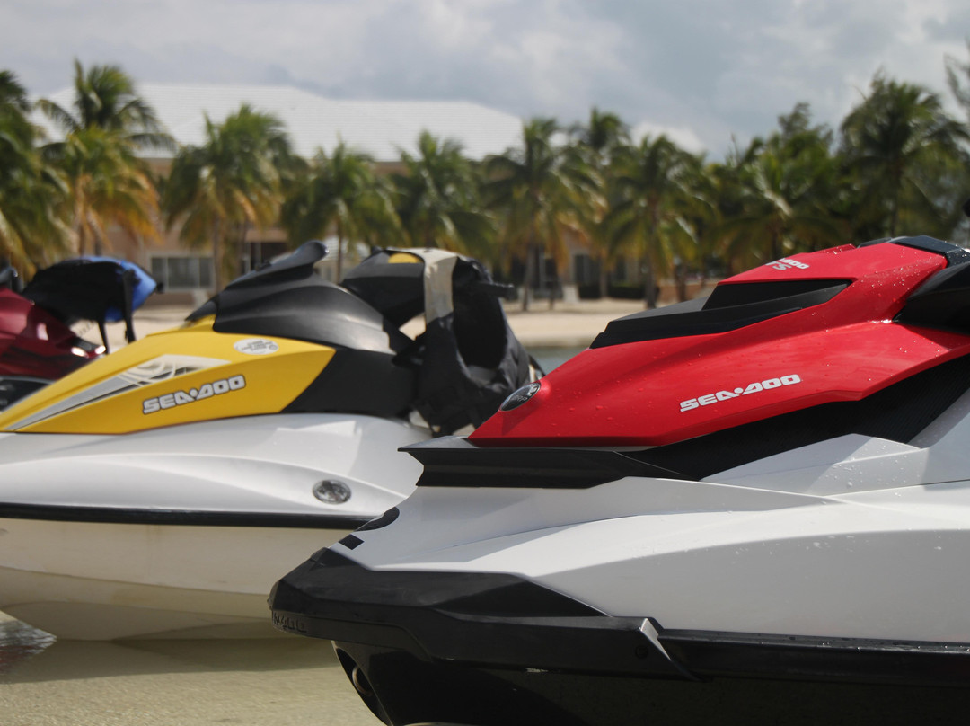 Fat Fish Adventures-大开曼岛必去景点