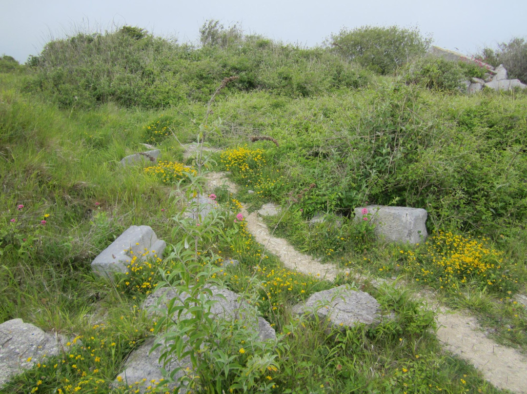 Broadcroft Quarry Nature Reserve-Isle of Portland必去景点