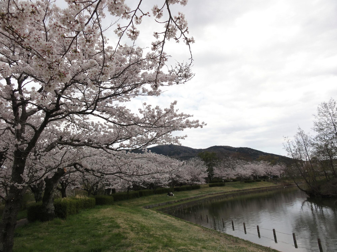 Hojo Oike Pond-筑波市必去景点