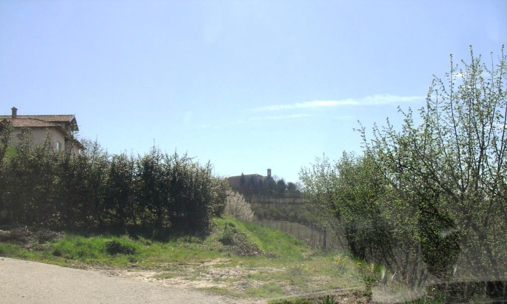 Chiesa Madonna delle Grazie景点图片