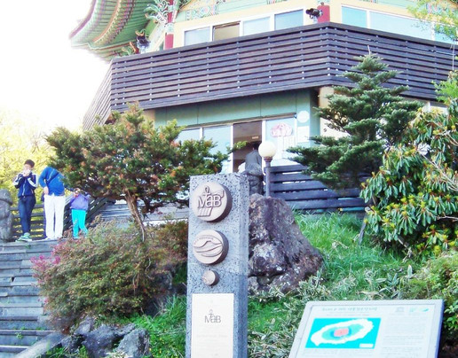 Jeju 1100 Altitude Wetland-西归浦市必去景点