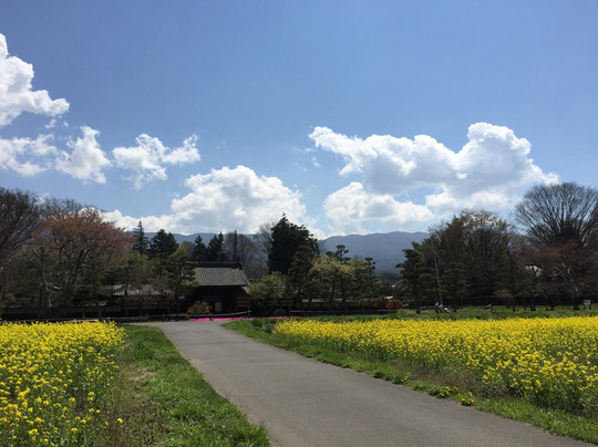Baba Family Old Residence-松本市必去景点