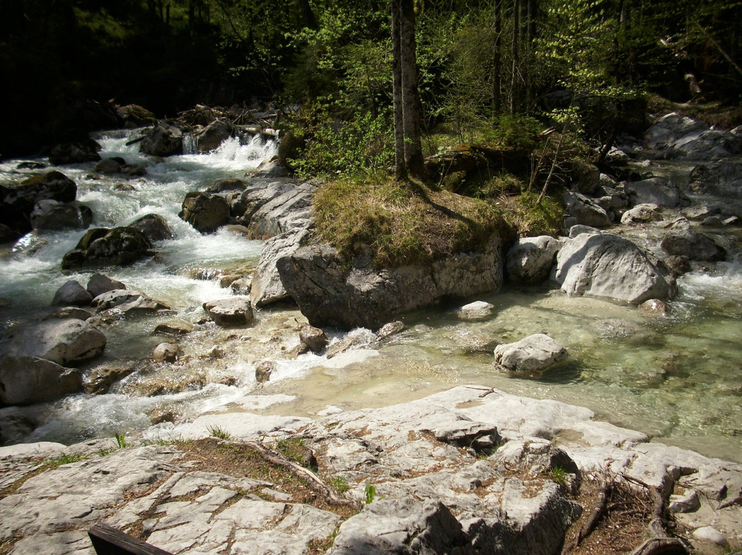Zauberwald am Hintersee-拉姆绍必去景点