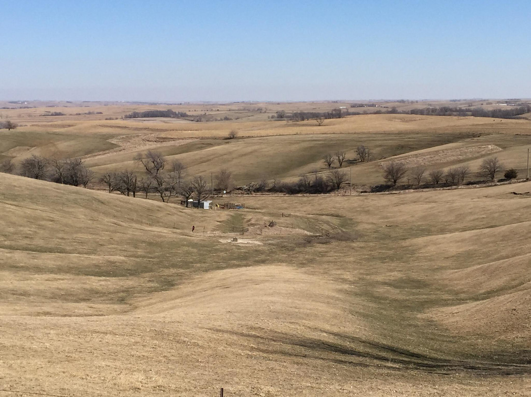 Glidden House Bed and Breakfast主图