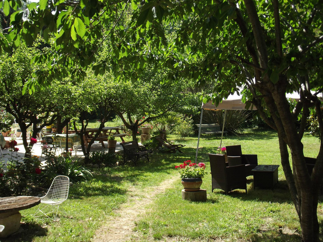 Le Petit Fidèle主图