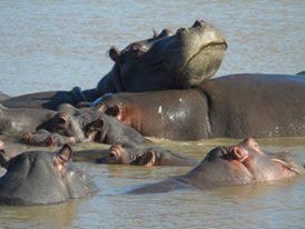 Julnic Tours-德班必去景点