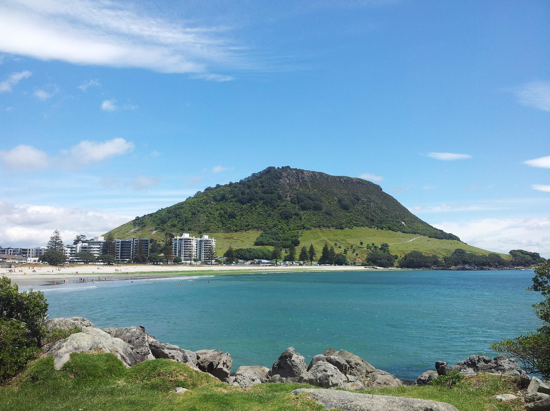 陶兰加酒店住宿-Harbour View Motel & Waterfront Apartments