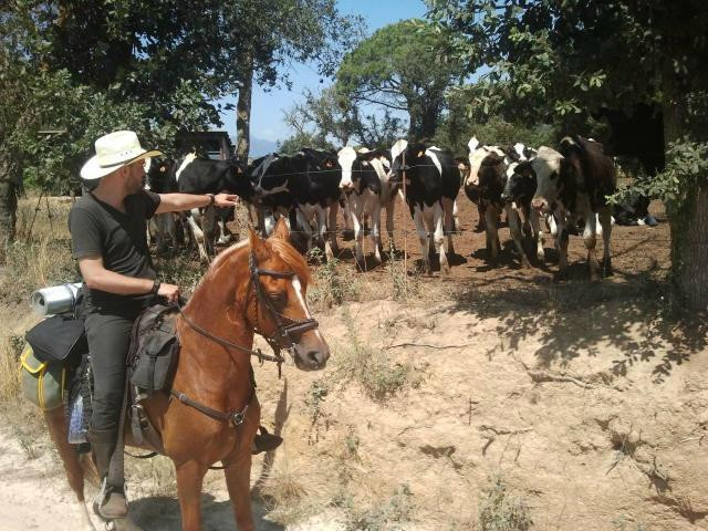 Cabalgando Hacia lo Salvaje-巴塞罗那必去景点