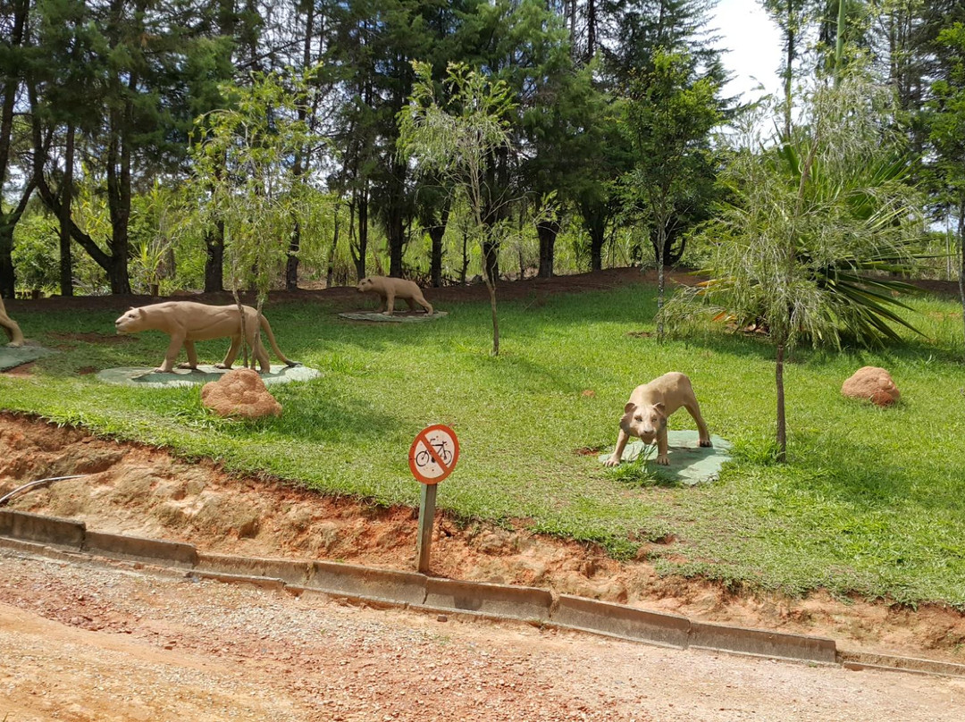 Parque Natural Municipal de Pouso Alegre-波苏阿雷格里必去景点
