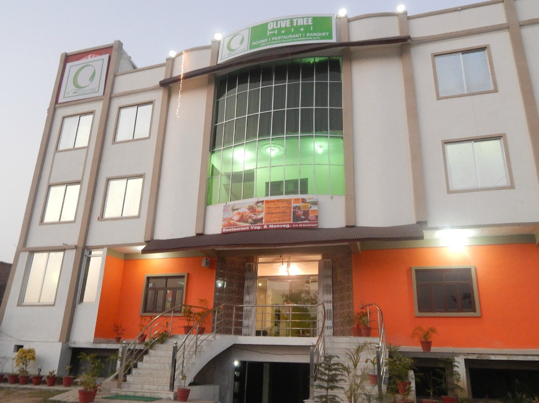 Olive Tree Hotel Kushinagar主图