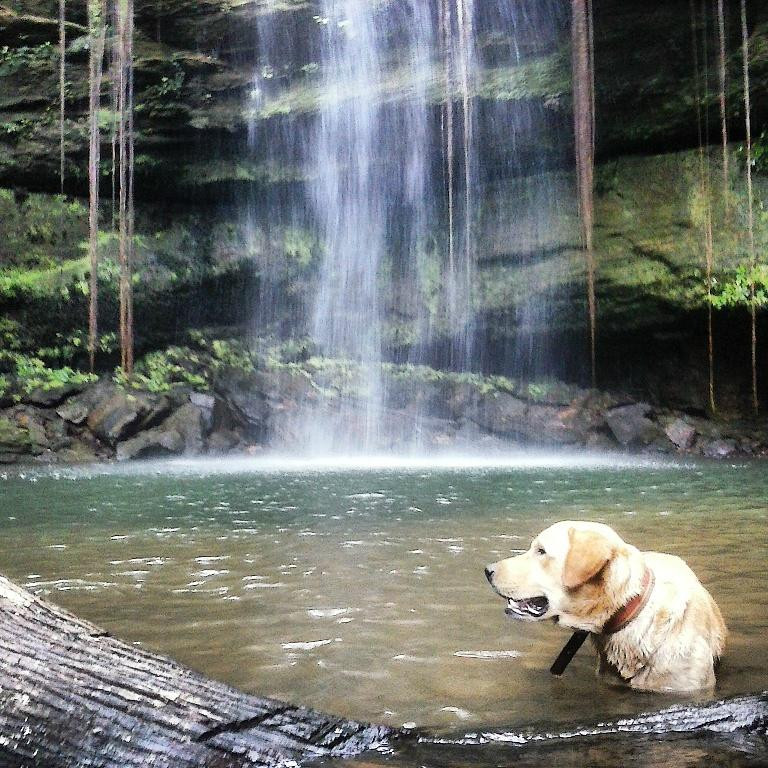 Fazenda Encantada Waterfall-Palmas必去景点