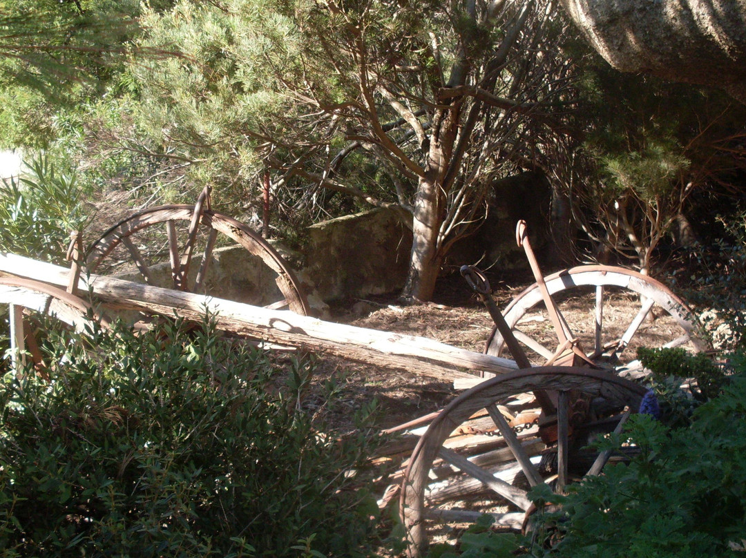 Fairy Park-Anakie必去景点