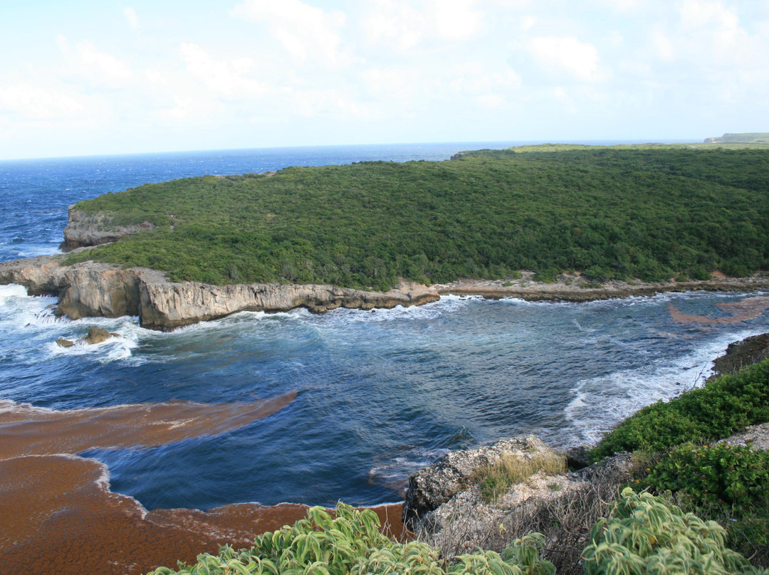 Lagon de la Porte d'Enfer-Anse-Bertrand必去景点