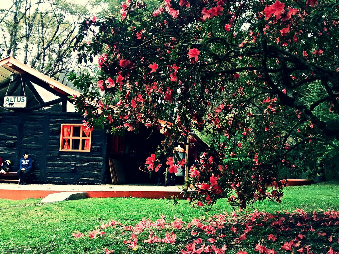 Altus Turismo Ecologico-坎普斯－杜若尔当必去景点