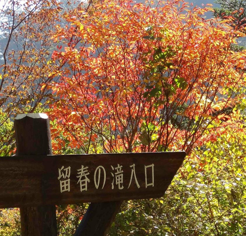 Ryushun Fall-那须盐原市必去景点