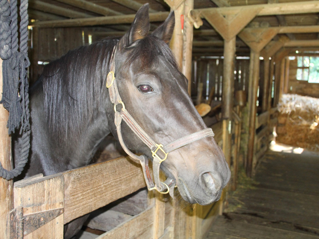 Pioneer Farm Museum & Ohop Indian Village-Eatonville必去景点