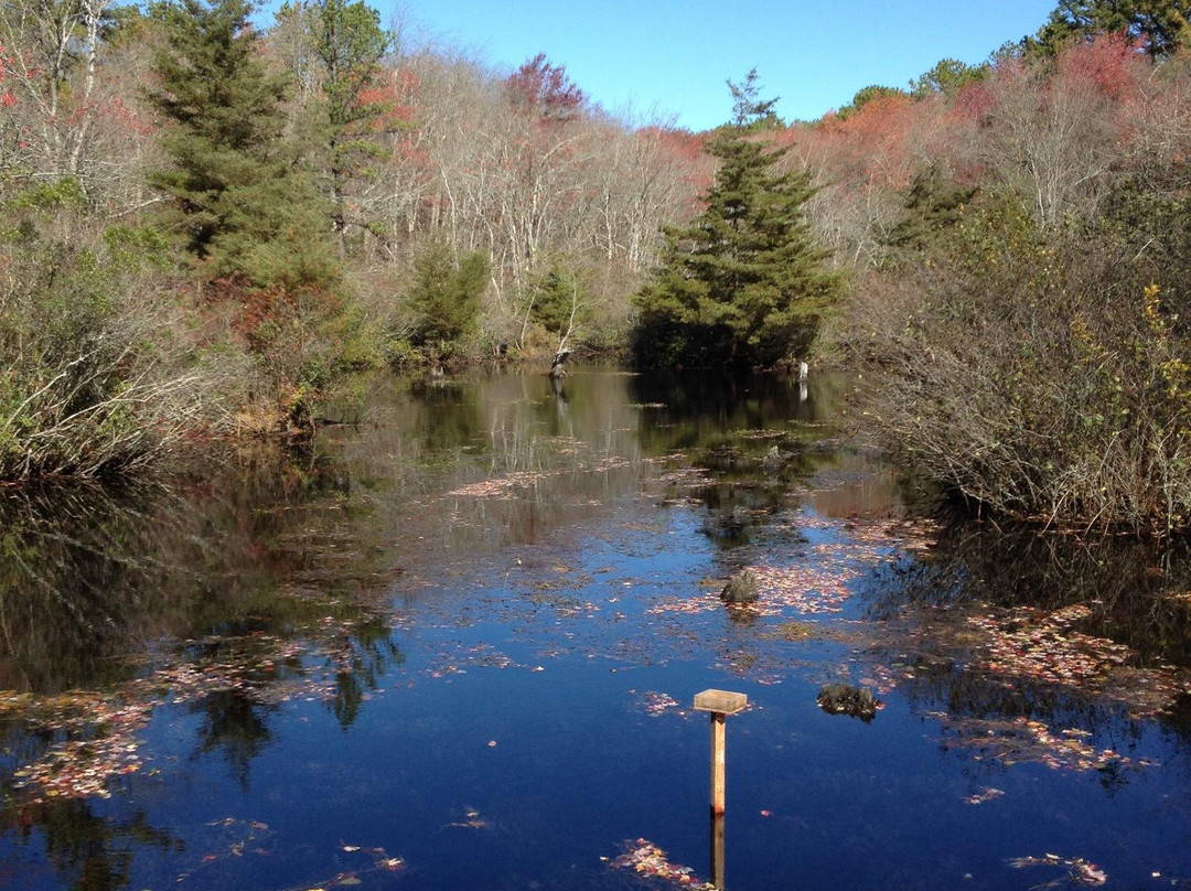 Quogue Wildlife Refuge景点图片