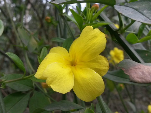 西安植物园-西安市必去景点