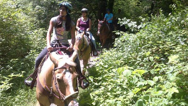 Leghorn Ranch-匹特草原必去景点