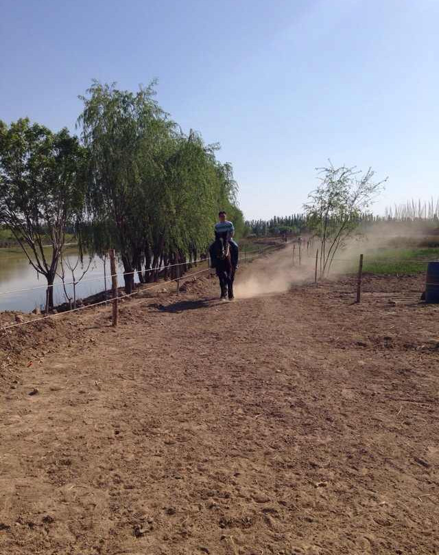 鸣翠湖生态旅游区-永宁县必去景点