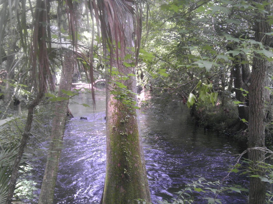 Hillsborough River State Park-Thonotosassa必去景点