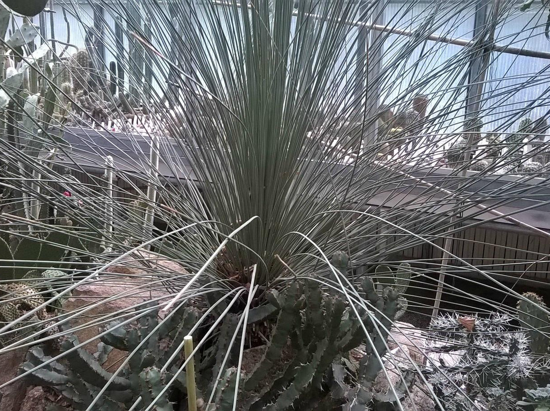Altenburger Botanischer Erlebnisgarten景点图片