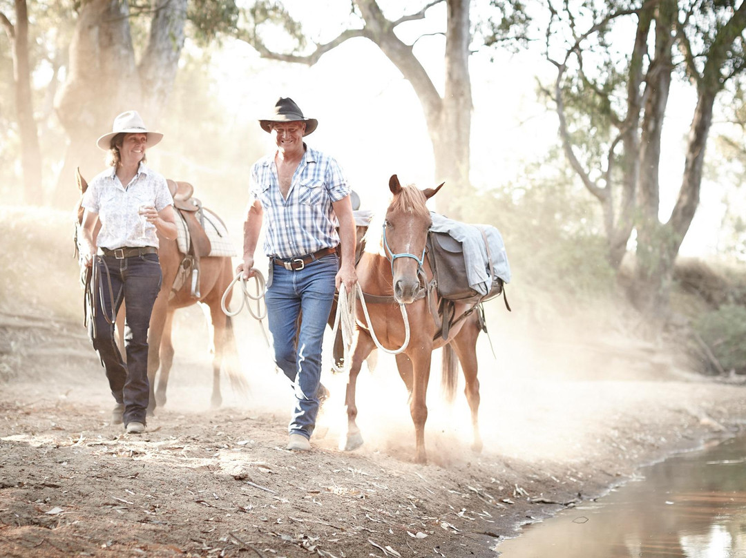 King River-King Valley必去景点