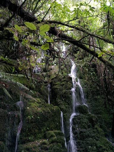 Lake Okataina景点图片