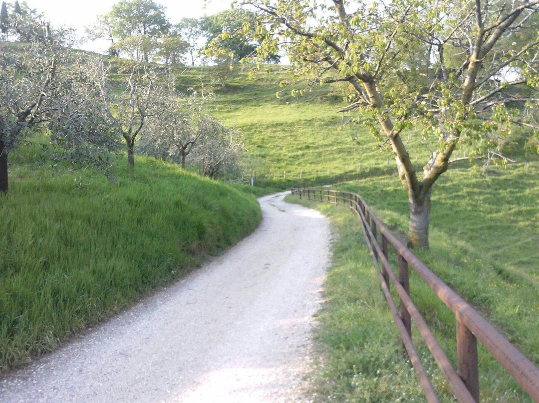 Passeggiata nelle colline di San Benedetto景点图片
