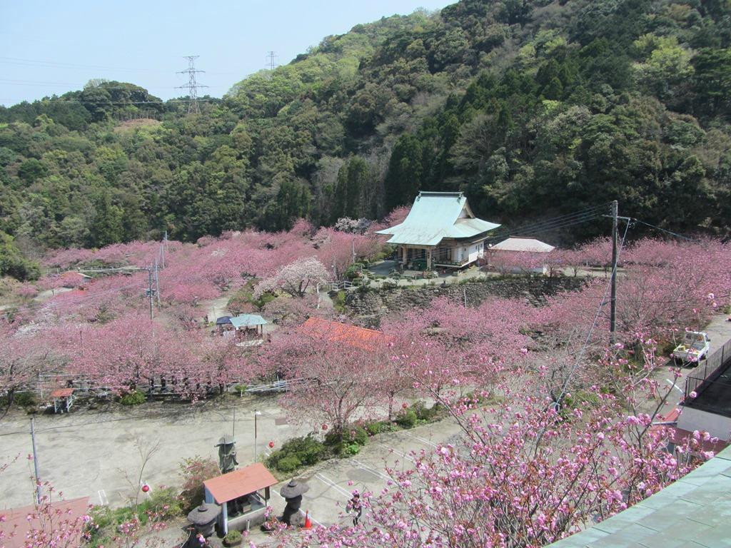 Isshinji Temple-大分市必去景点