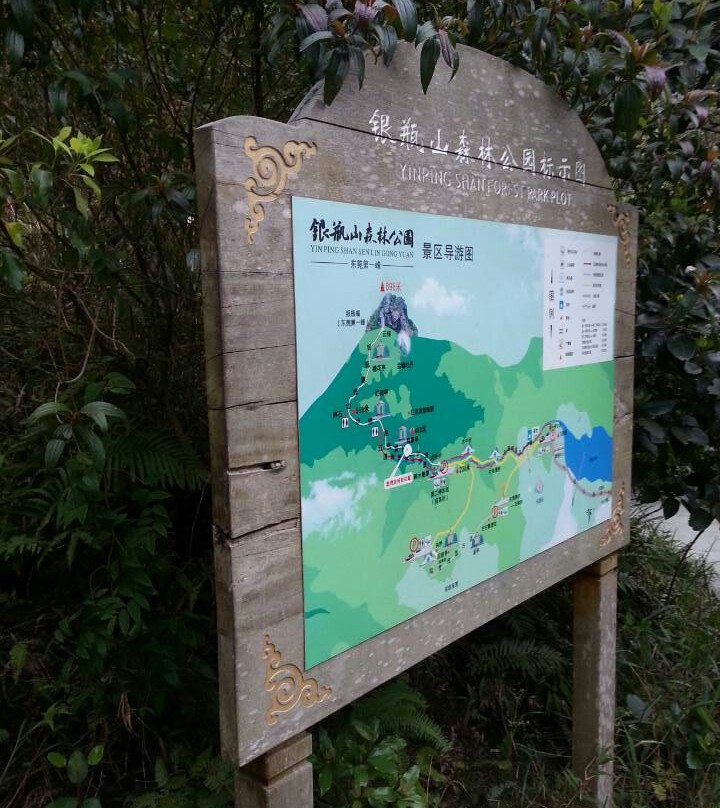 银瓶山森林公园-东莞市必去景点