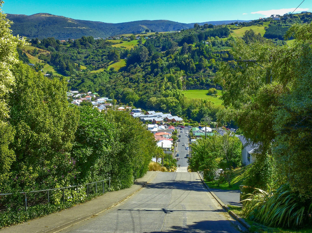 鲍德温街-但尼丁必去景点