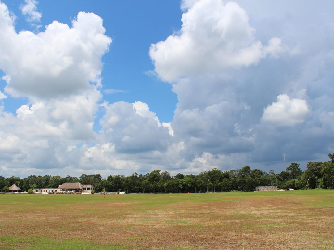 El Rey Polo Country Club-从莫雷洛斯港必去景点