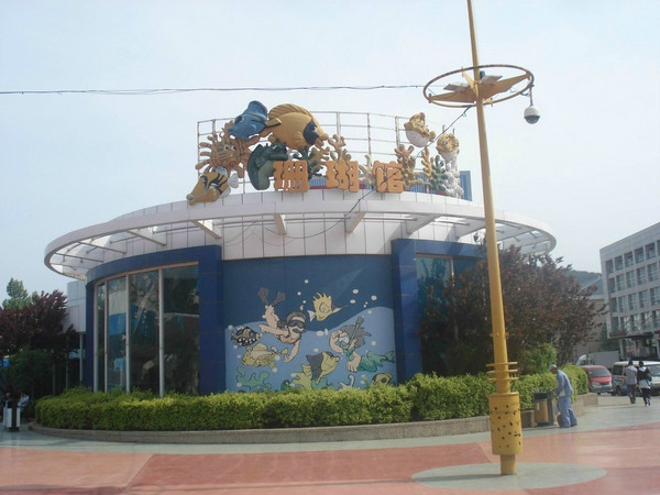 老虎滩海洋公园景点图片
