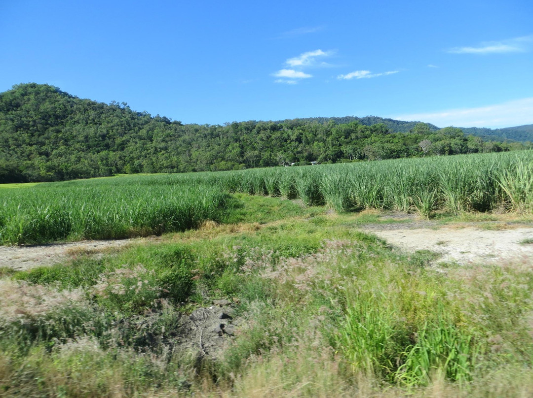 Trek North-凯恩斯必去景点