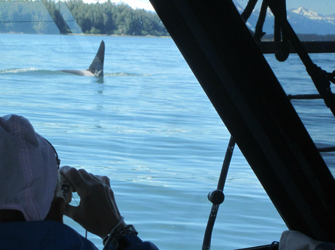 Hooked Adventures-胡纳必去景点