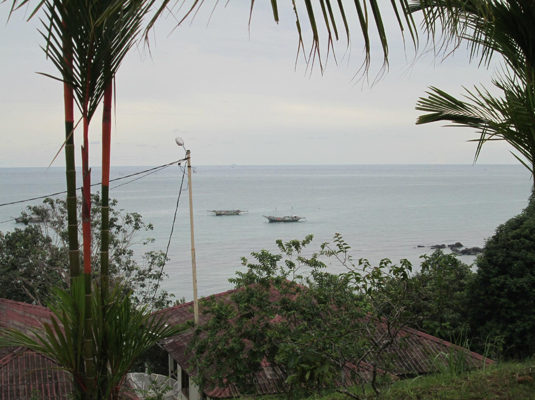 Desa Nelayan Tanjung Binga景点图片