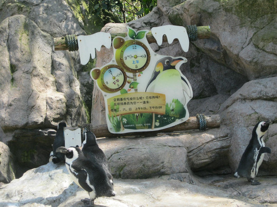 上海动物园-上海市必去景点