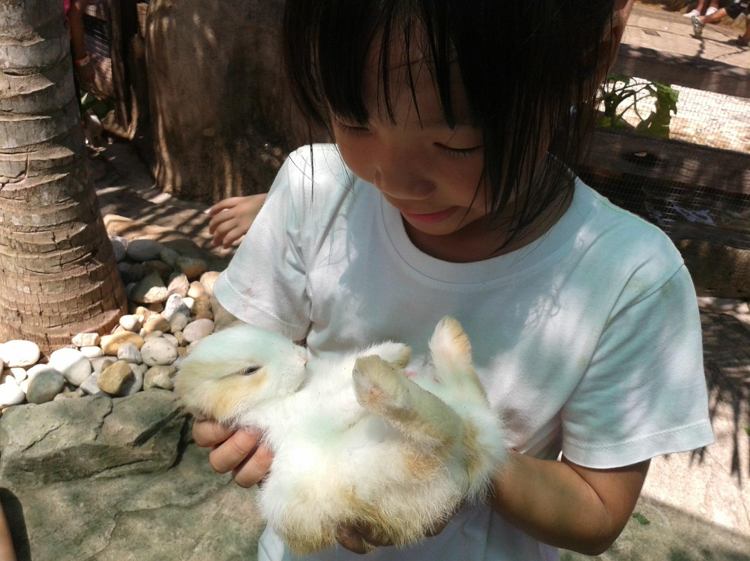Farm In The City-雪州必去景点