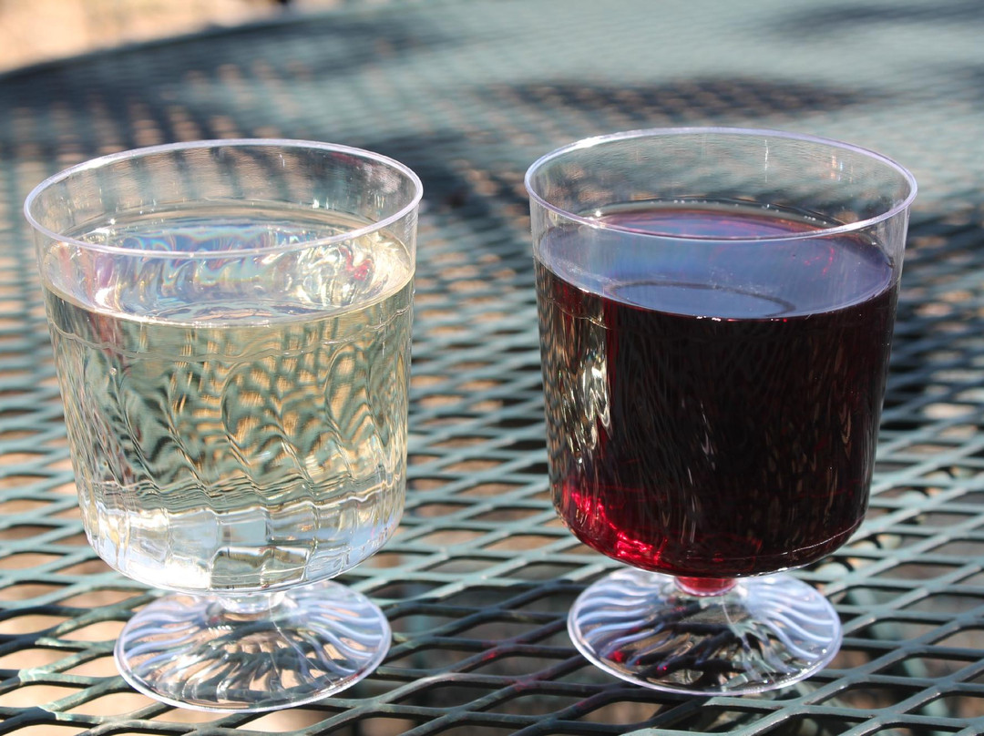 Botham Vineyards & Winery-Barneveld必去景点