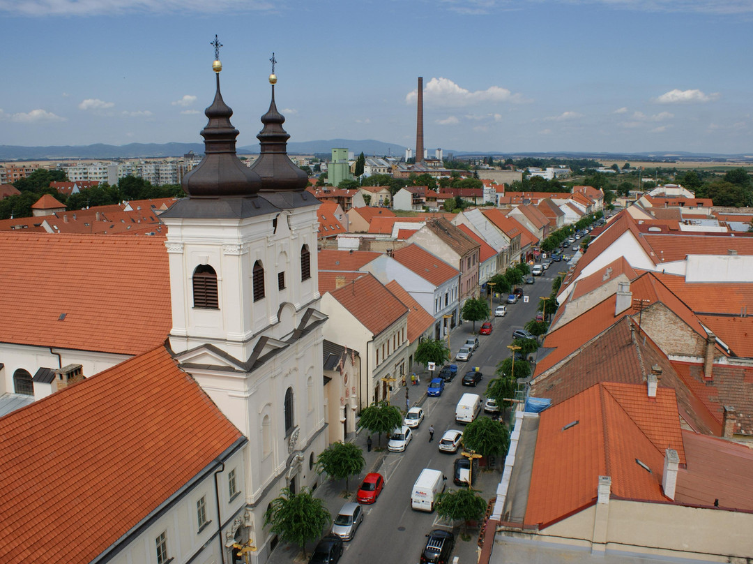 Town Tower-Trnava必去景点