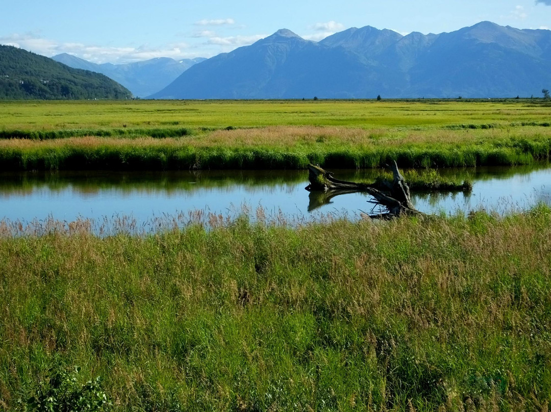 Potter Marsh Bird Sanctuary-安克雷奇必去景点