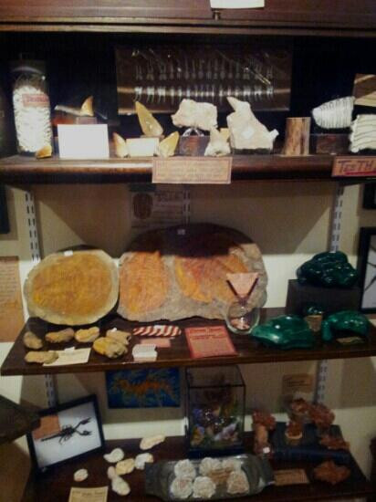 The Rock & Art Shop景点图片