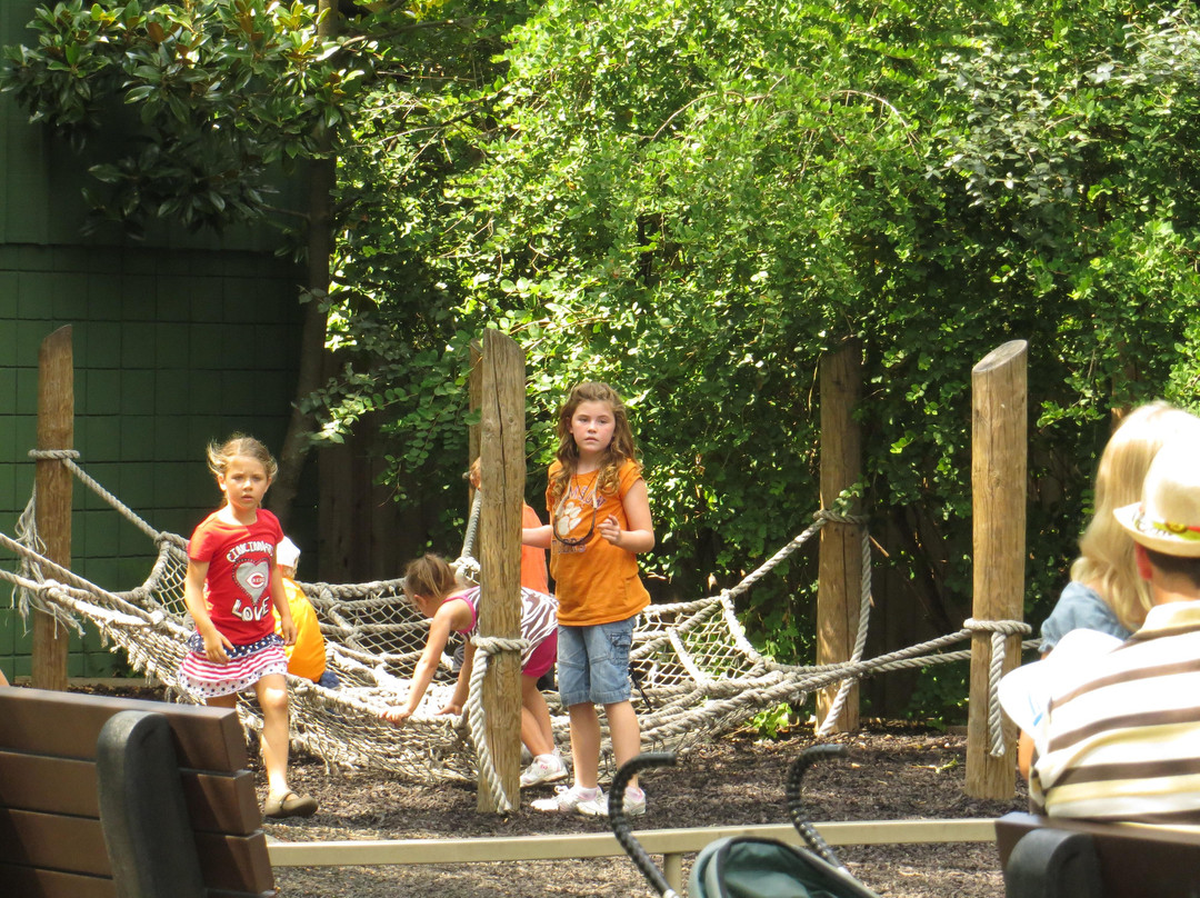 Cincinnati Zoo & Botanical Garden-辛辛那提必去景点
