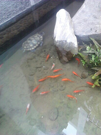 泊梦居客栈主图