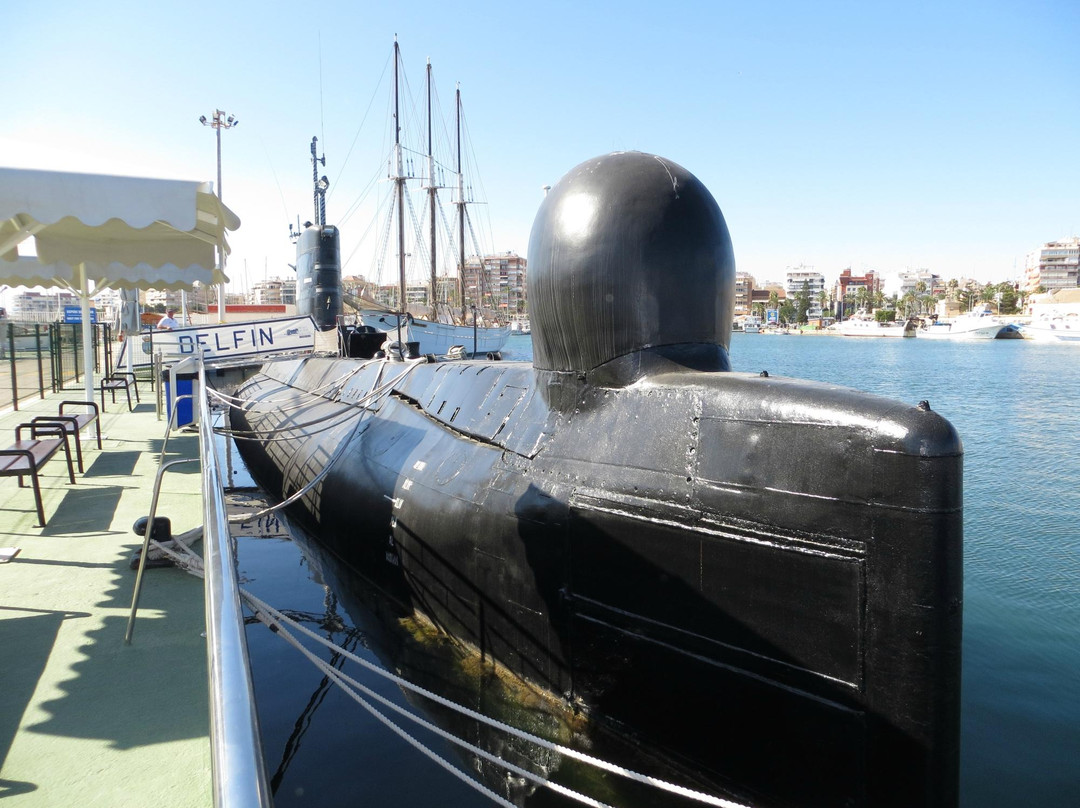 Museos flotantes Delfín S-61 y Albatros III景点图片