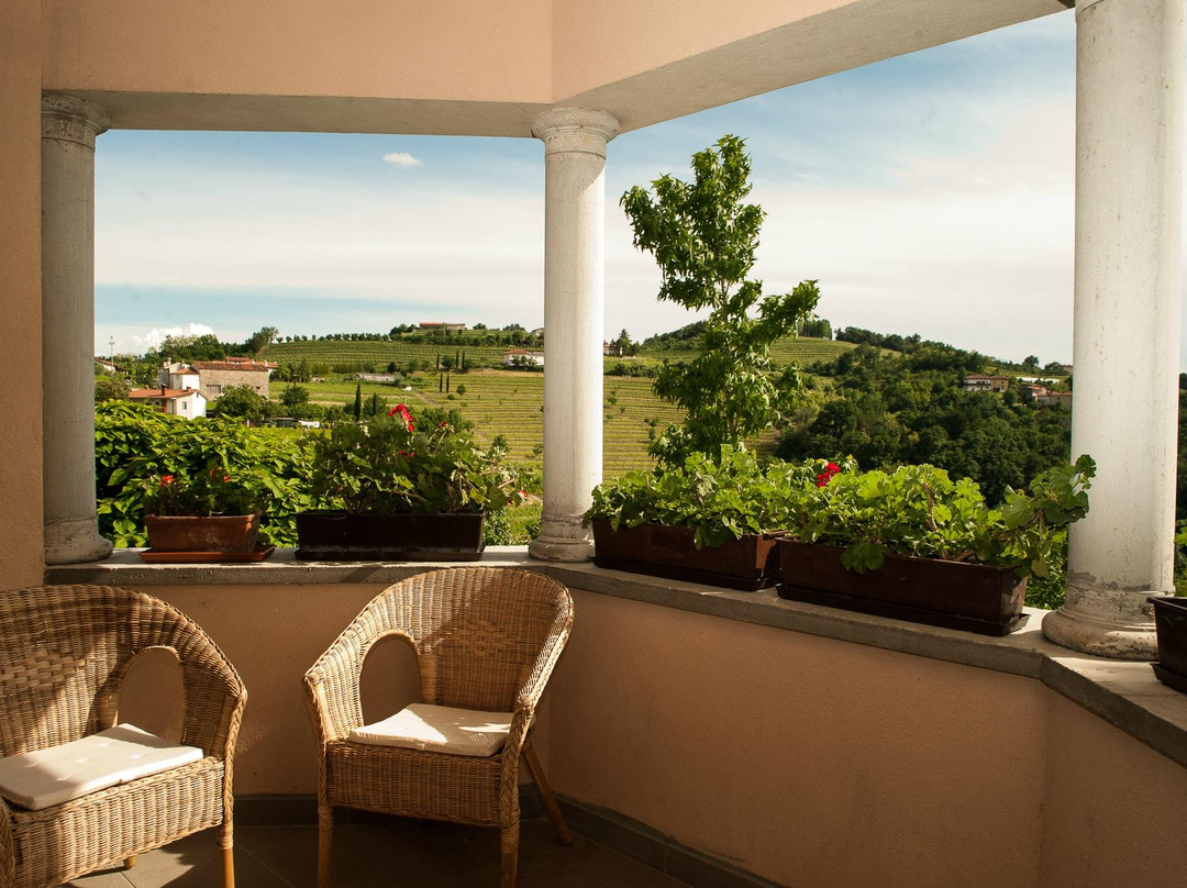 Domacija Feri Guest house主图