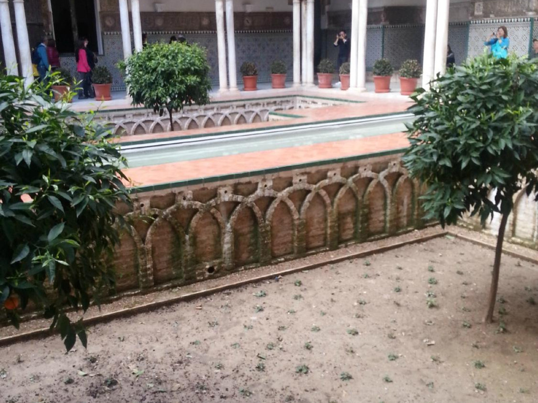 All Sevilla Guided Tours景点图片