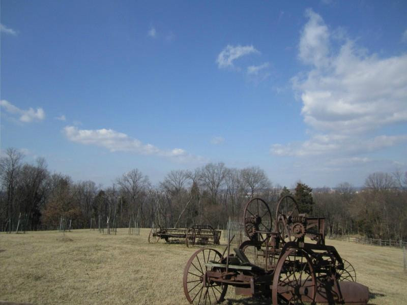 Oxon Cove Park & Oxon Hill Farm-奥克森山必去景点